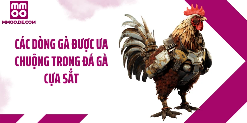 Các dòng gà được ưa chuộng trong đá gà cựa sắt