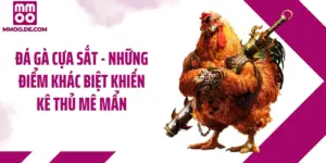 Đá Gà Cựa Sắt - Những Điểm Khác Biệt Khiến Kê Thủ Mê Mẩn