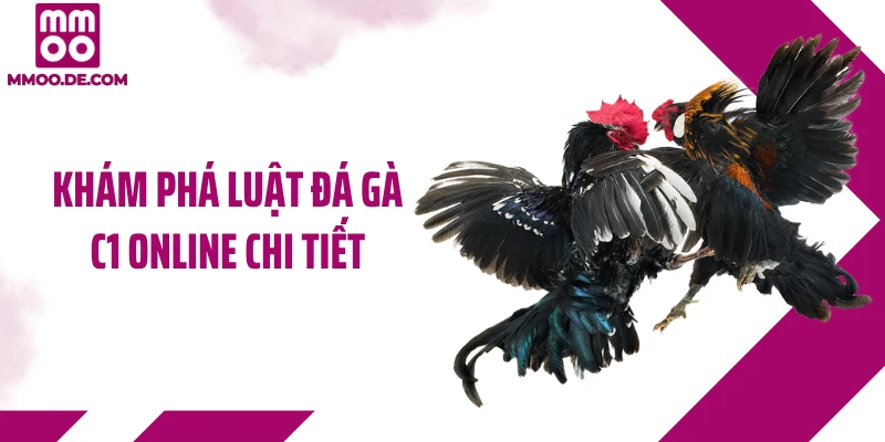 Khám phá luật đá gà C1 online chi tiết